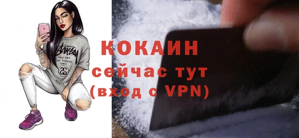 mix Бородино