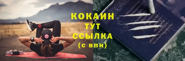 mix Бородино