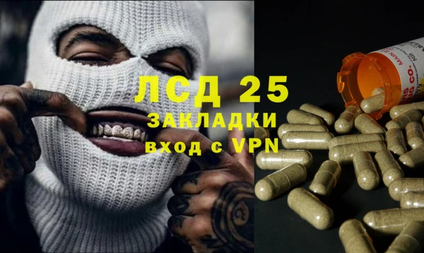 PSILOCYBIN Вяземский