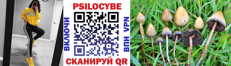 hydra ссылки  Дудинка  Галлюциногенные грибы Psilocybe 
