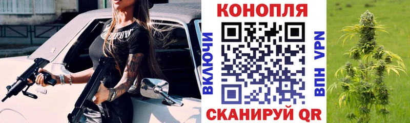 Конопля Amnesia  Дудинка 
